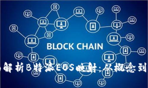 全面解析B特派EOS映射：从概念到实践