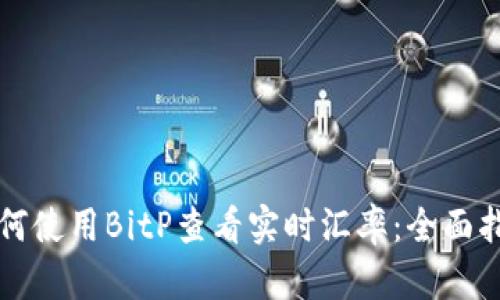 如何使用BitP查看实时汇率：全面指南