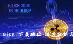 如何查询 BitP 下载地址：深度分析与实用指南