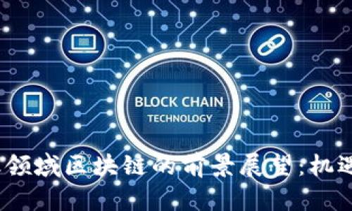 2023年金融领域区块链的前景展望：机遇与挑战并存