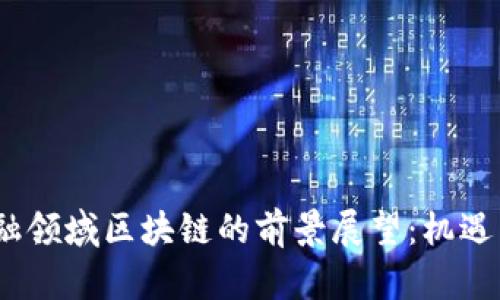 2023年金融领域区块链的前景展望：机遇与挑战并存