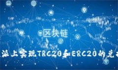 如何在比特派上实现TRC20和ERC20的兑换：完整指南