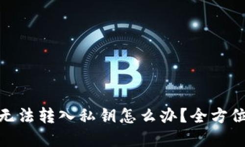 比特派（BitPie）无法转入私钥怎么办？全方位解读与解决方案