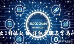 如何导出B特派私钥：详细步骤与常见问题解答