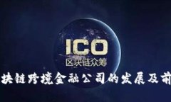 海南区块链跨境金融公司的发展及前景分析