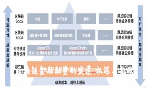 区块链金融融资的发展：机遇与挑战