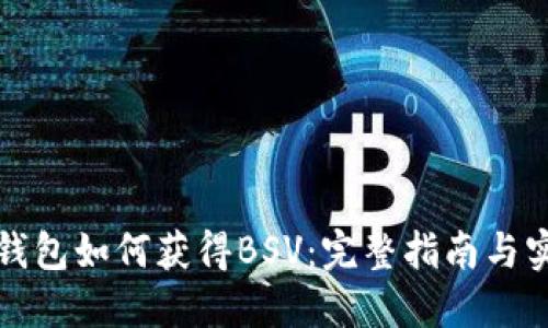 比特派钱包如何获得BSV：完整指南与实用技巧