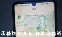 金融区块链的未来：机遇与挑战分析