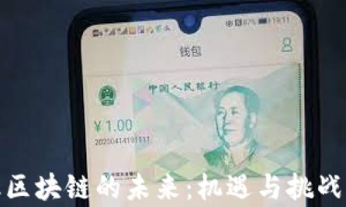 
金融区块链的未来：机遇与挑战分析