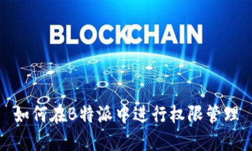 如何在B特派中进行权限管理