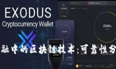 供应链金融中的区块链技术：可靠性分析与展望