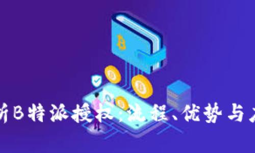 深入解析B特派授权：流程、优势与应用场景