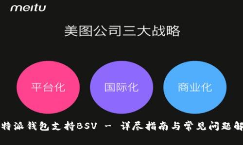 比特派钱包支持BSV - 详尽指南与常见问题解答