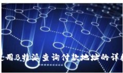 如何使用B特派查询付款地址的详细指南