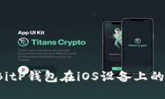 如何解决BitP钱包在iOS设备上的下载问题？