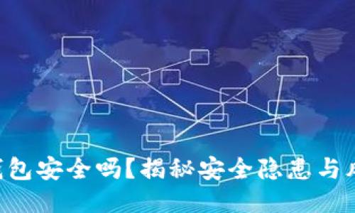 B特派钱包安全吗？揭秘安全隐患与风险管理
