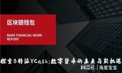 探索B特派YCash：数字货币的未来与新机遇