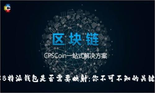 了解B特派钱包是否需要映射：你不可不知的关键要素