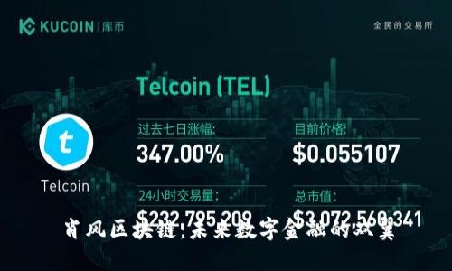 肖风区块链：未来数字金融的双翼