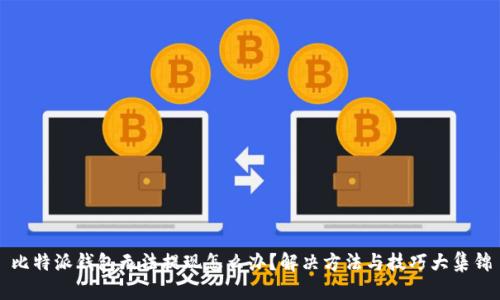 比特派钱包无法提现怎么办？解决方法与技巧大集锦