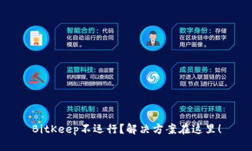 BitKeep不运行？解决方案在这里！