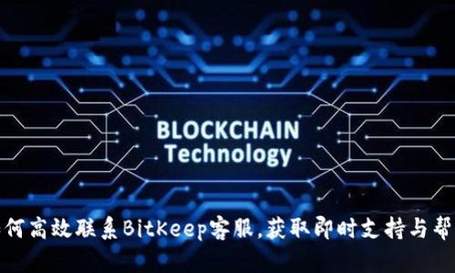 如何高效联系BitKeep客服，获取即时支持与帮助