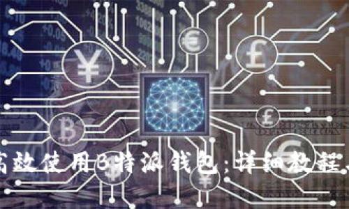 如何高效使用B特派钱包：详细教程与图解