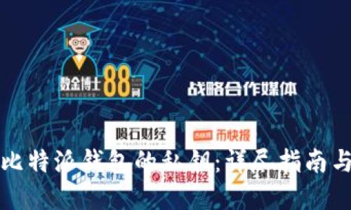 如何查看比特派钱包的私钥：详尽指南与实用技巧