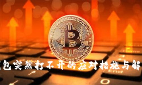 BitP钱包突然打不开的应对措施与解决方案