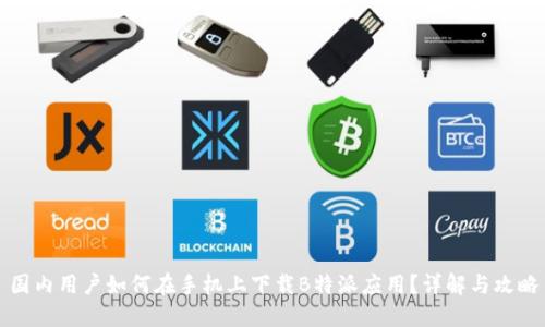 国内用户如何在手机上下载B特派应用？详解与攻略