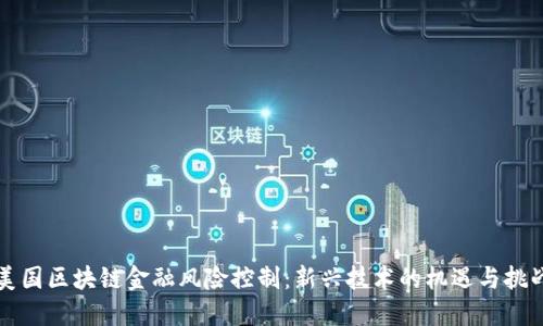 美国区块链金融风险控制：新兴技术的机遇与挑战