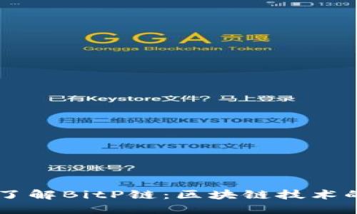 深入了解BitP链：区块链技术的新星