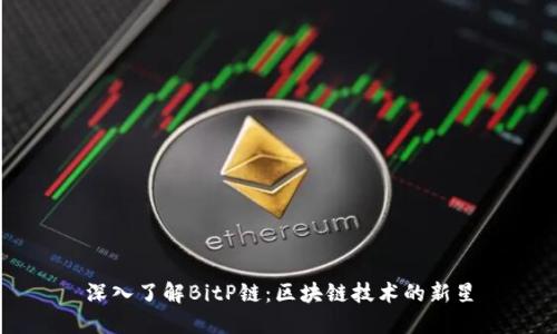 深入了解BitP链：区块链技术的新星