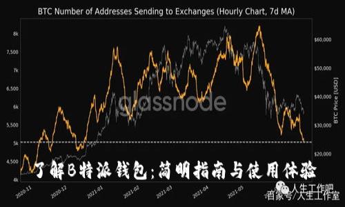 了解B特派钱包：简明指南与使用体验