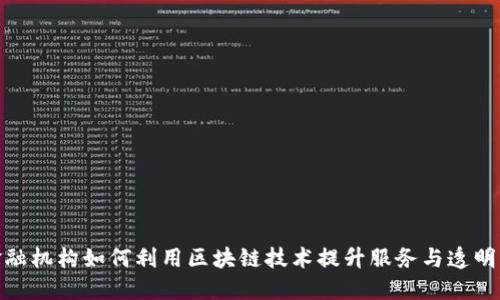 金融机构如何利用区块链技术提升服务与透明度