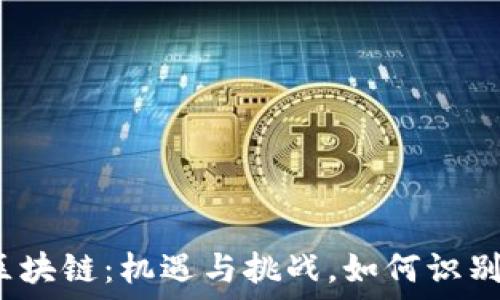   
金融区块链：机遇与挑战，如何识别骗局？