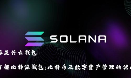 比特派是什么钱包

深入了解比特派钱包：比特币及数字资产管理的优质选择