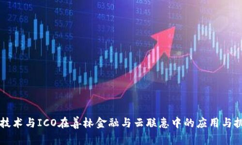 区块链技术与ICO在善林金融与云联惠中的应用与挑战分析