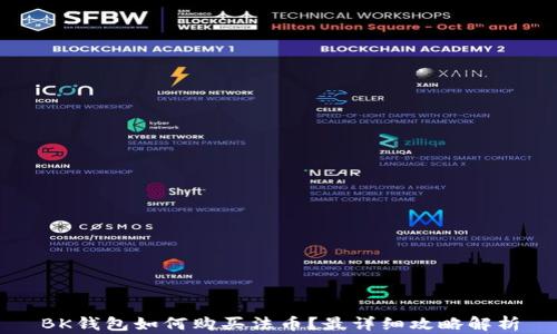 
BK钱包如何购买法币？最详细攻略解析