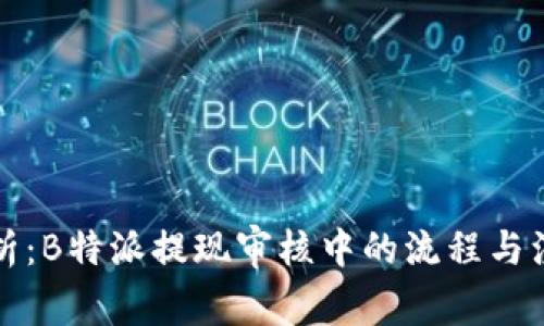 深度解析：B特派提现审核中的流程与注意事项