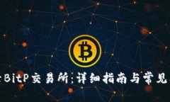 如何登录BitP交易所：详细指南与常见问题解答