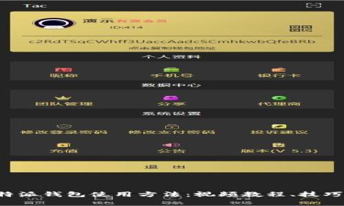 全面解析B特派钱包使用方法：视频教程、技巧与常见问题