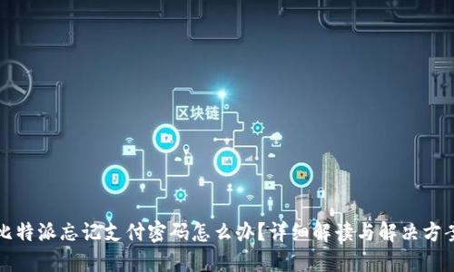 比特派忘记支付密码怎么办？详细解读与解决方案