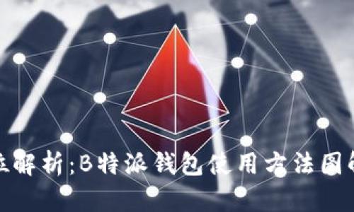 全方位解析：B特派钱包使用方法图解大全