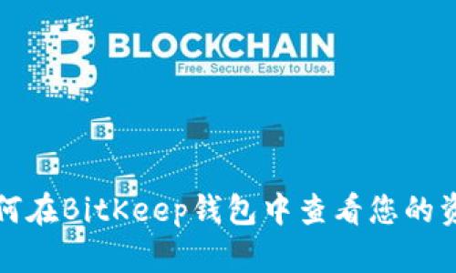 如何在BitKeep钱包中查看您的资产