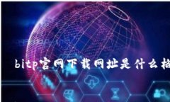     bitp官网下载网址是什么格式bitp官网下载网址