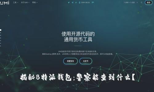 揭秘B特派钱包：警察能查到什么？