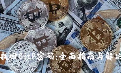 如何找回BitP密码：全面指南与解决方案