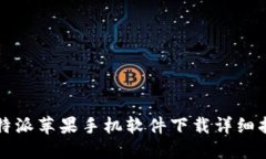 比特派苹果手机软件下载详细指南