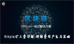 Bitpie矿工费详解：理解费用产生与策略